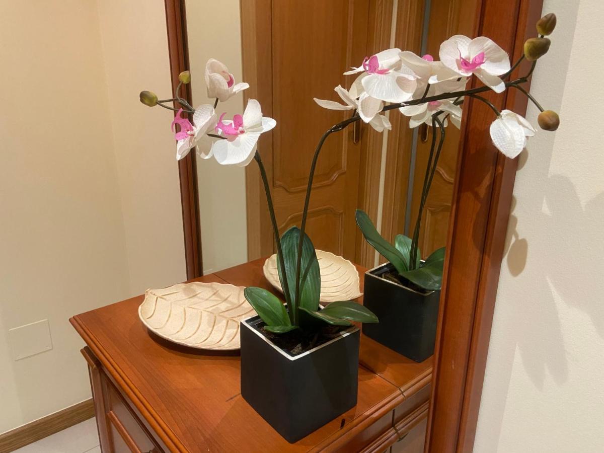 Apartamento Funcional Lalin-Centro Dış mekan fotoğraf
